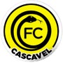 阿祖里兹FC