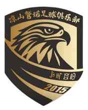遂宁队